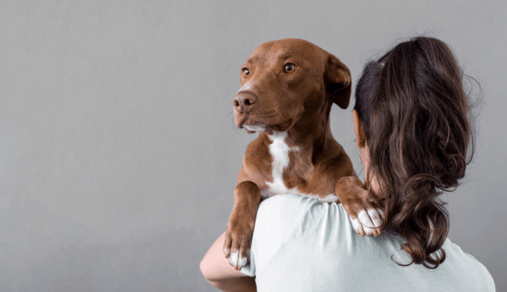 câine anxietate